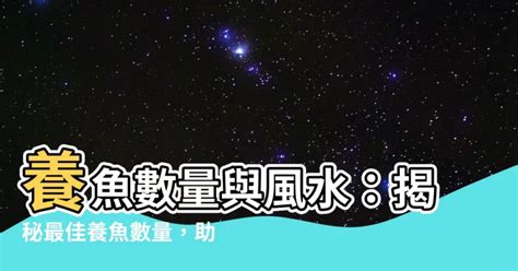 養魚的吉祥數字|風水魚數量大揭秘